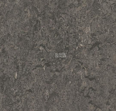 Forbo Marmoleum Marbled Real 3048 / 304835 / 33048 / 73048 Graphite фото 1 | FLOORDEALER
